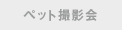 ペット撮影会